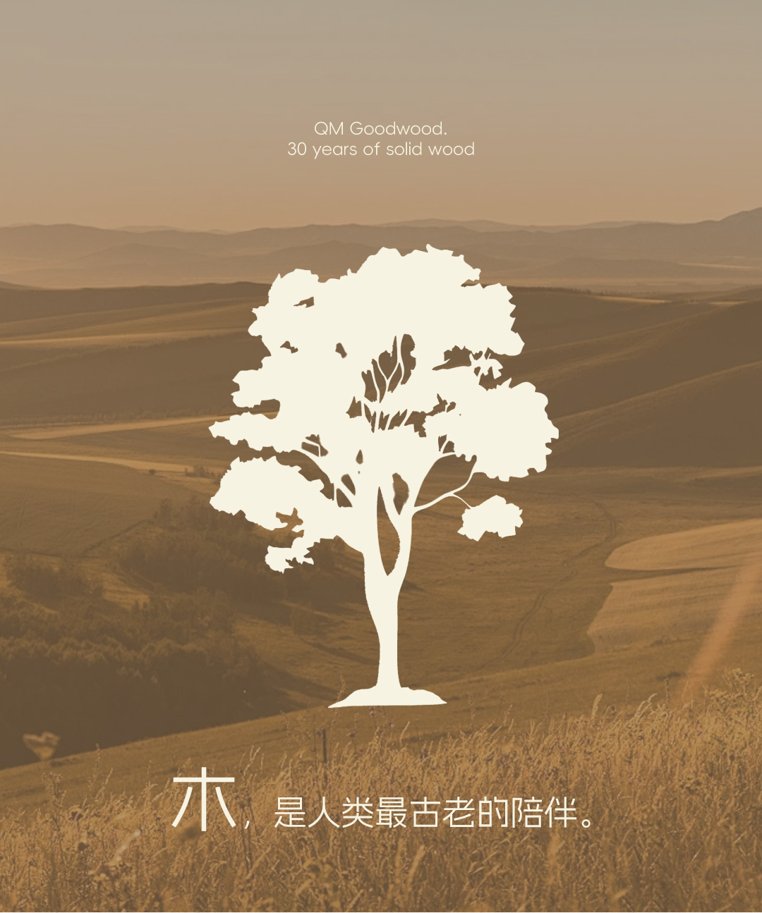 「曲美好木」新品牌上線！